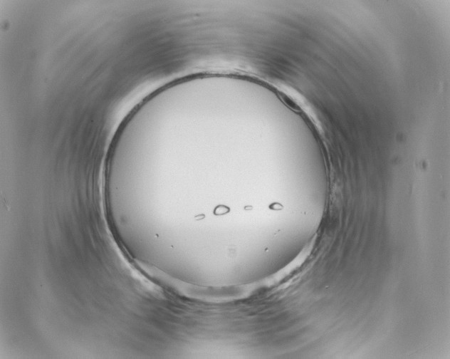 X0000088021343200706011315