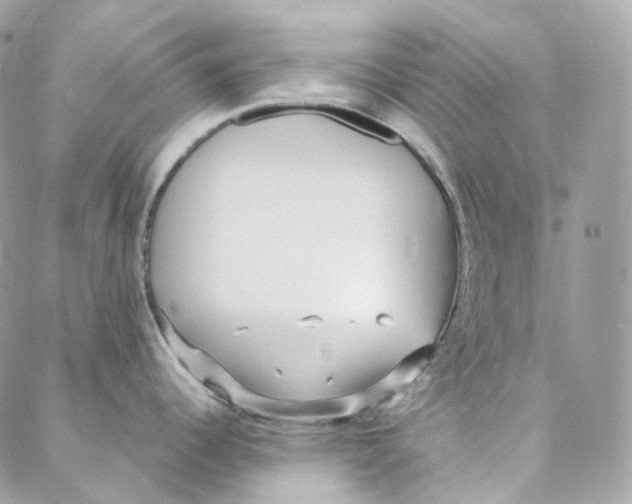 X0000088021344200706011315