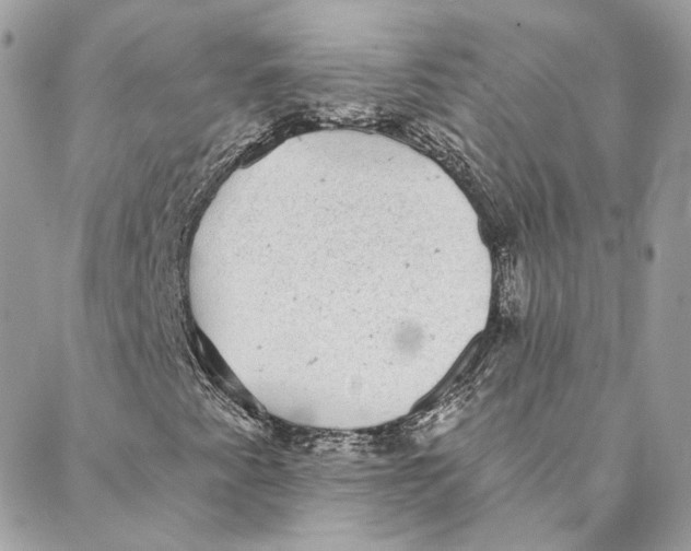 X0000088021345200706011314