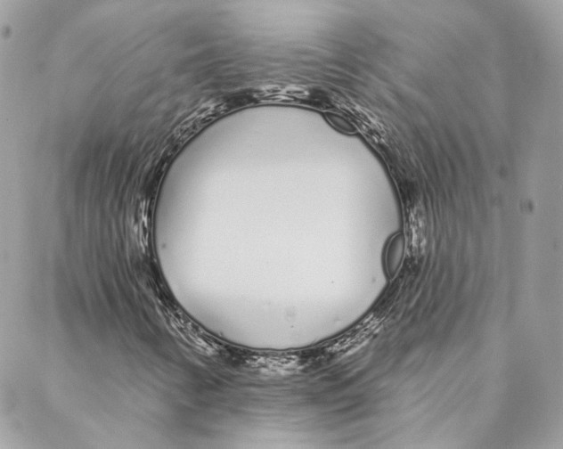 X0000088021346200706011314