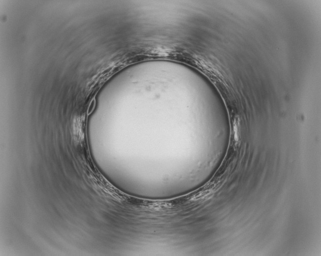 X0000088021347200706011314