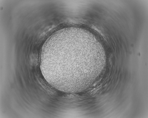 X0000088021348200706011314