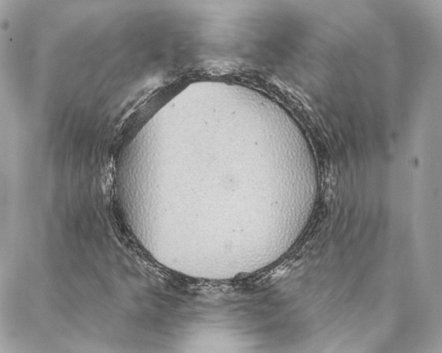 X0000088021349200706011314