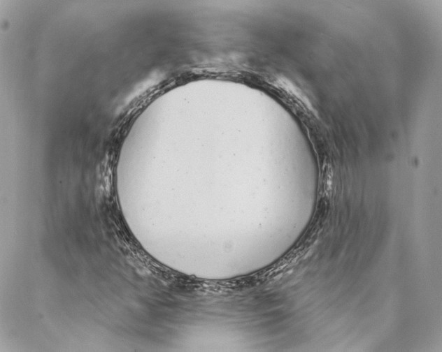 X0000088021350200706011314