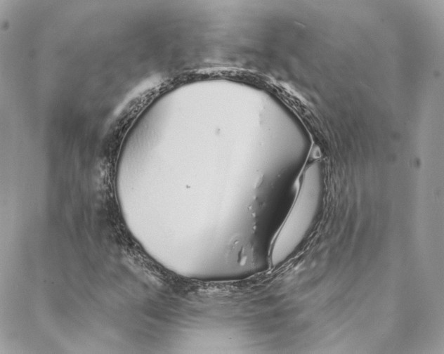 X0000088021351200706011314