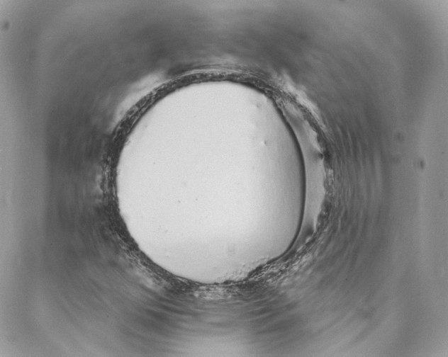 X0000088021352200706011314