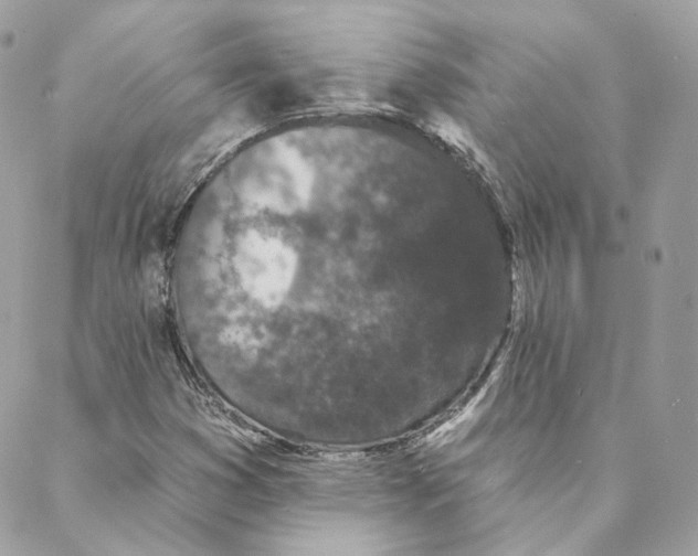 X0000088021353200706011314