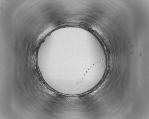 X0000088021354200706011314