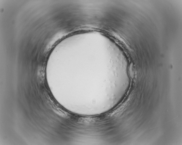 X0000088021355200706011314