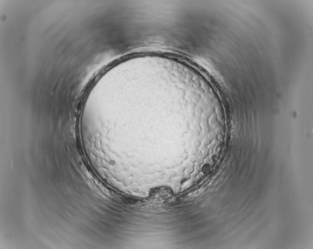 X0000088021356200706011314