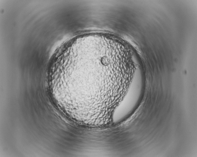 X0000088021357200706011314