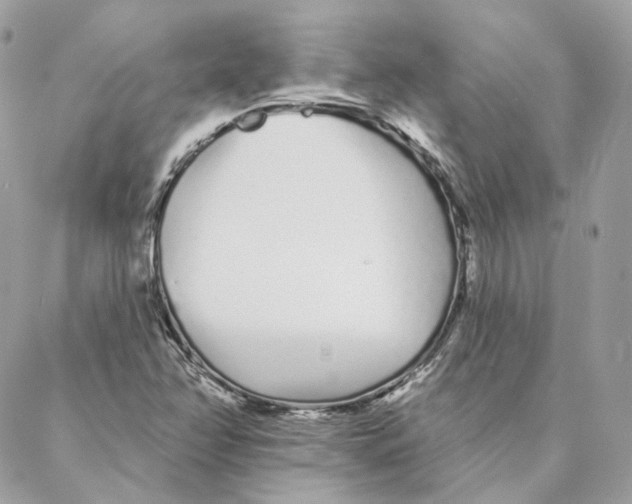 X0000088021358200706011314