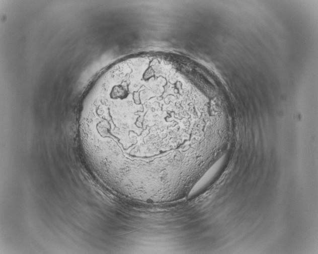 X0000088021359200706011314