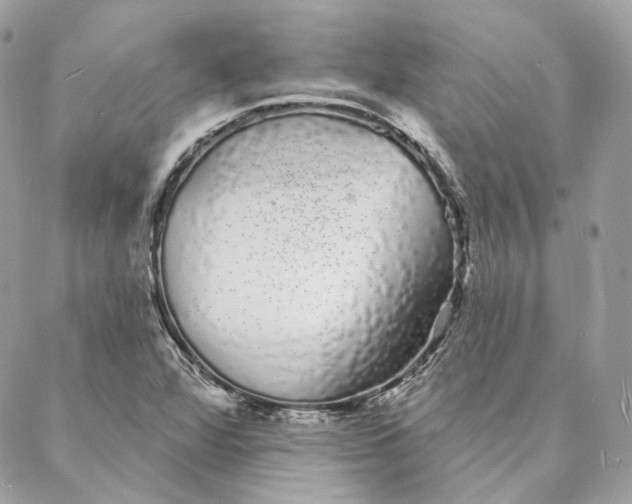 X0000088021360200706011314