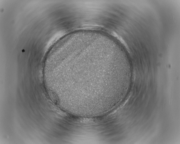 X0000088021362200706011314