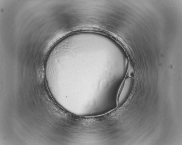 X0000088021363200706011314