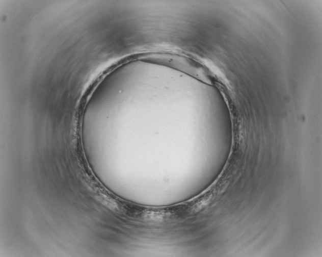 X0000088021364200706011314