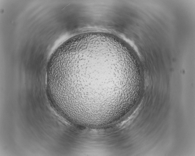 X0000088021365200706011314