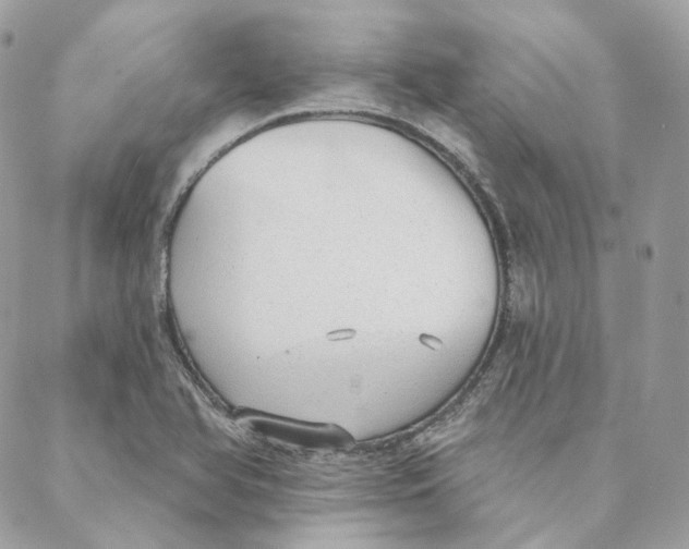 X0000088021366200706011314