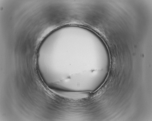 X0000088021367200706011314