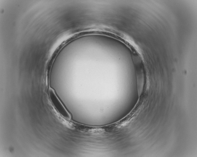 X0000088021368200706011314