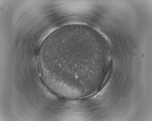 X0000088021369200706011314