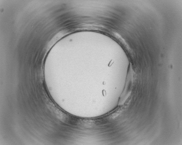 X0000088021370200706011313