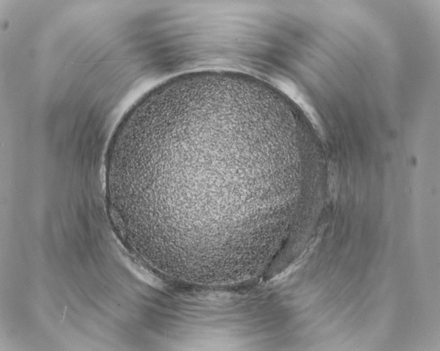 X0000088021372200706011313