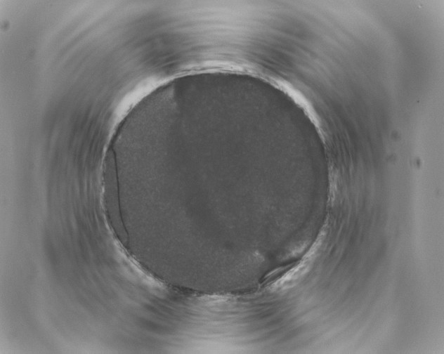 X0000088021373200706011313