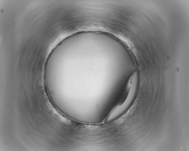 X0000088021374200706011313