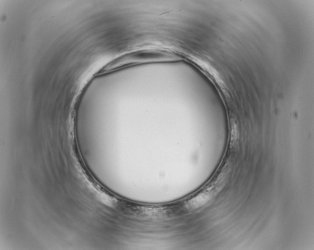 X0000088021375200706011313