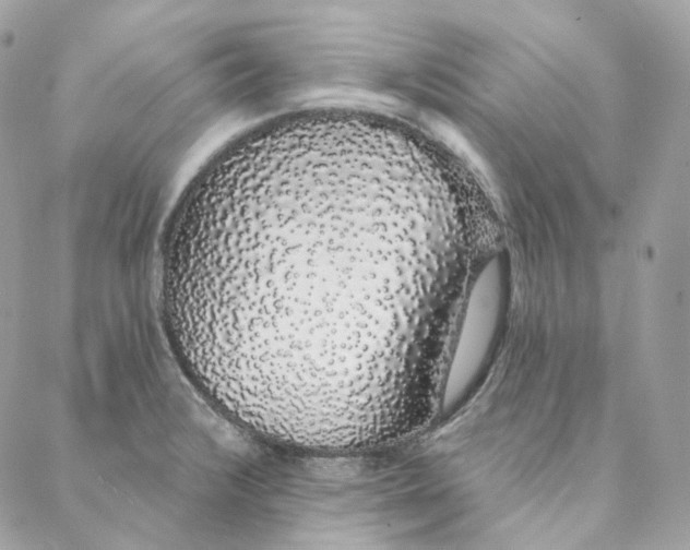 X0000088021376200706011313