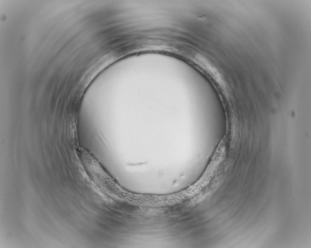 X0000088021377200706011313