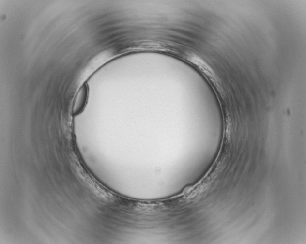 X0000088021378200706011313