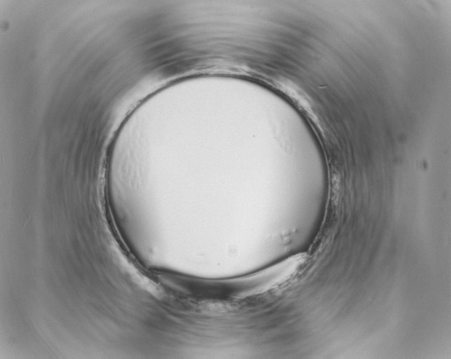 X0000088021379200706011313