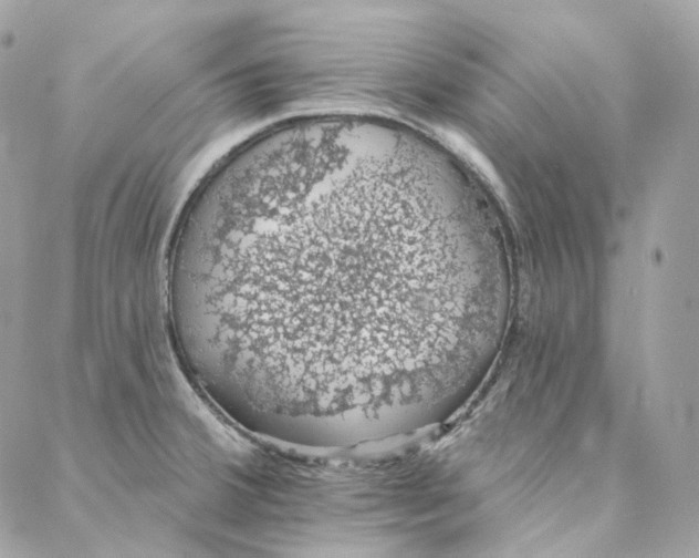 X0000088021380200706011313