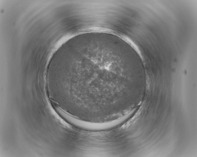 X0000088021381200706011313