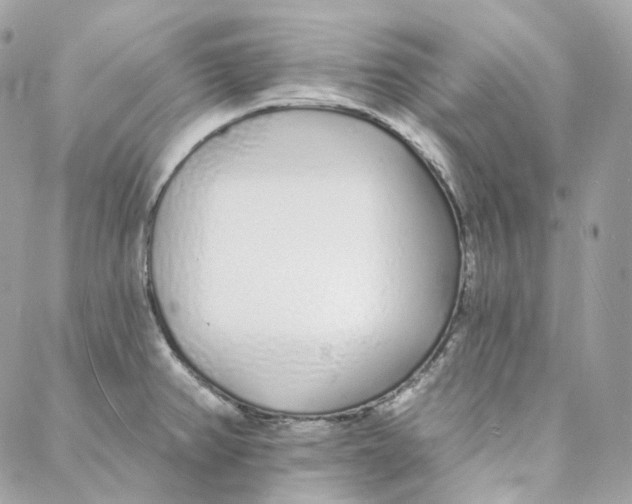 X0000088021382200706011313