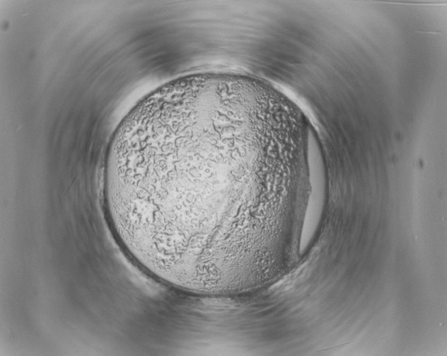 X0000088021383200706011313