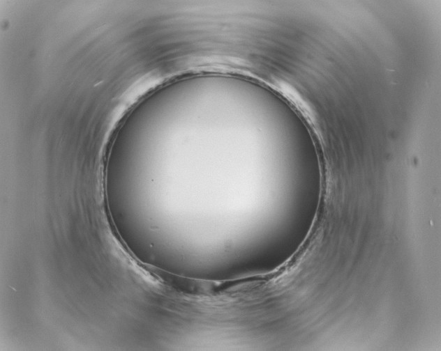 X0000088021384200706011313