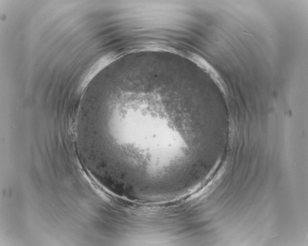 X0000088021385200706011313