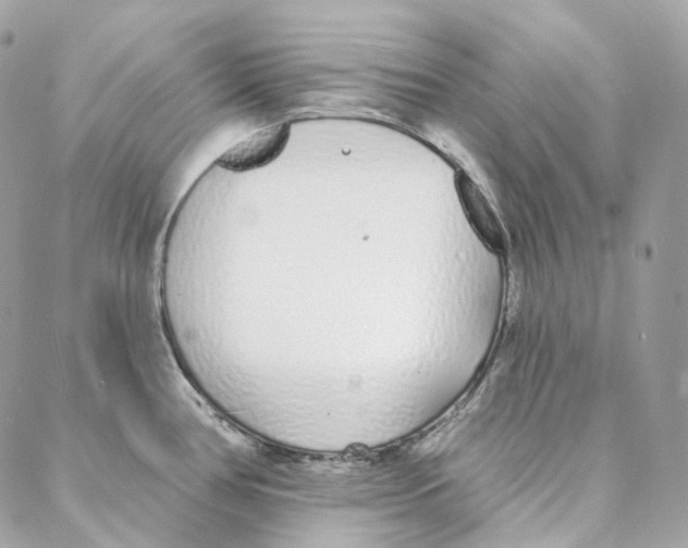 X0000088021386200706011313