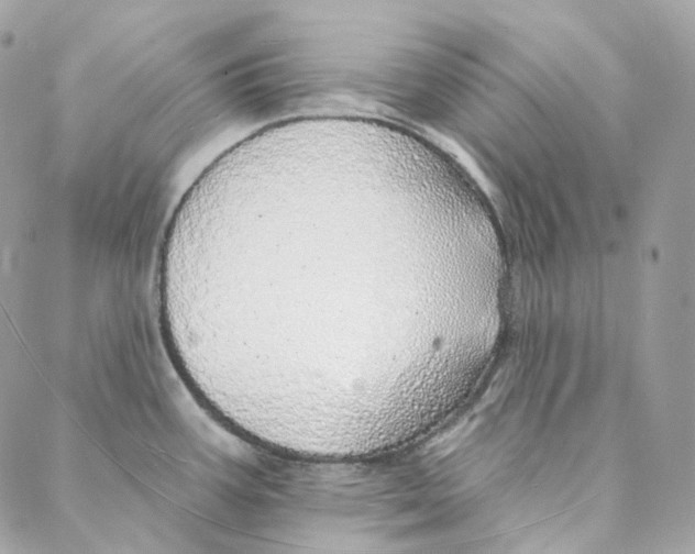 X0000088021387200706011313