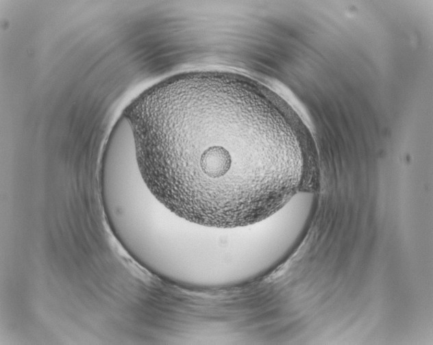 X0000088021388200706011313