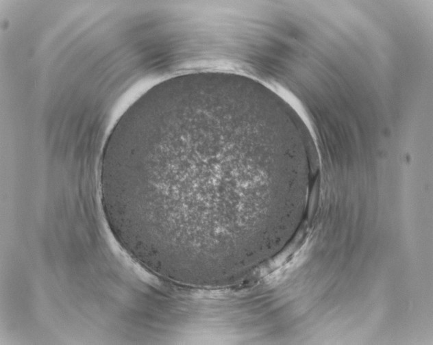 X0000088021389200706011313