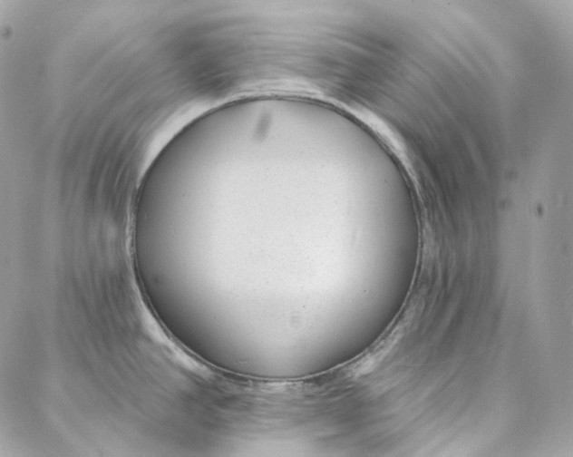 X0000088021390200706011313