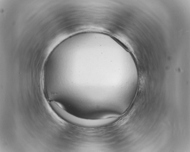 X0000088021391200706011313