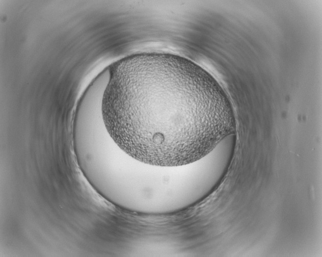 X0000088021392200706011313