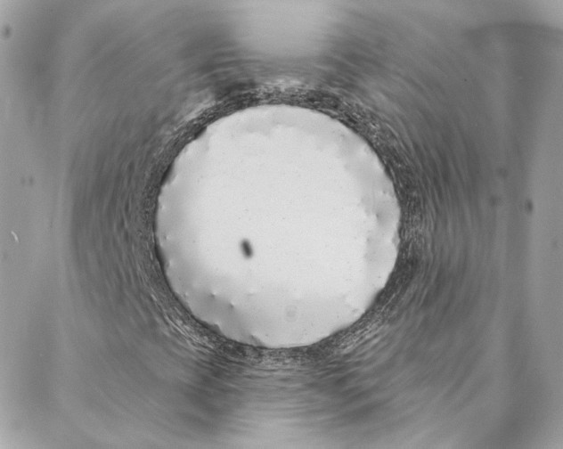 X0000088021393200706011312