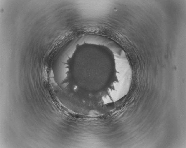 X0000088021394200706011312